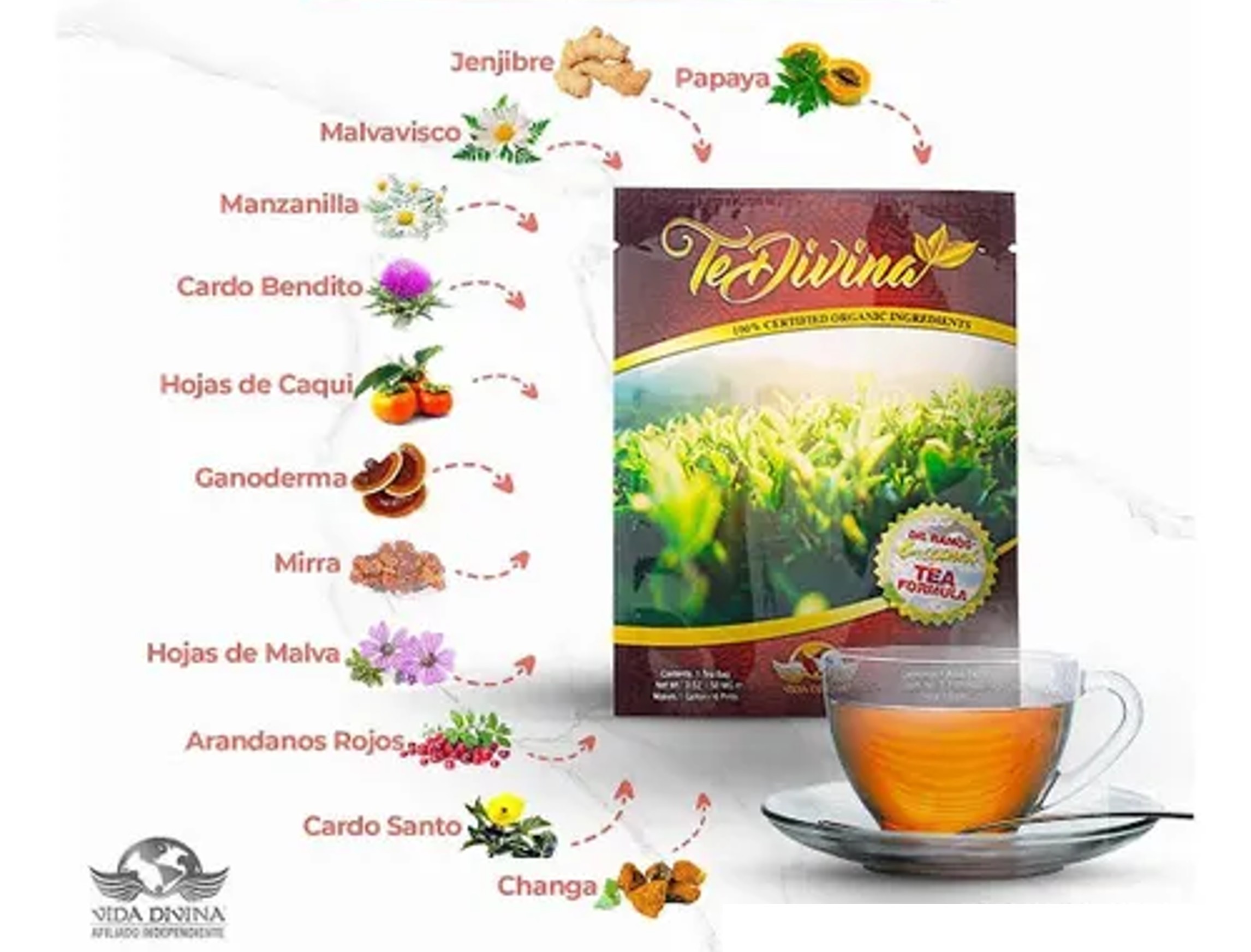 TeDivina Pack